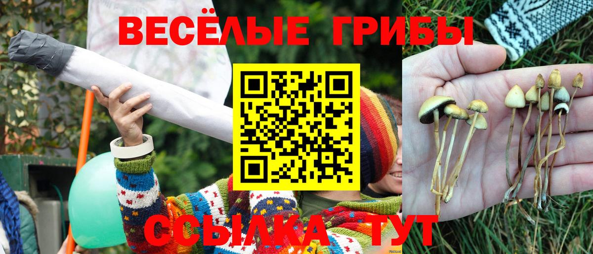Галлюциногенные грибы мицелий Старая Купавна