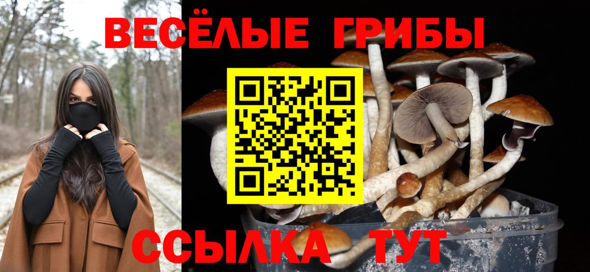 Старая Купавна  Галлюциногенные грибы GOLDEN TEACHER  где купить   Вход с VPN  Галлюциногенные грибы Cubensis 